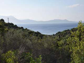 Το σπάνιο αγροτεμάχιο