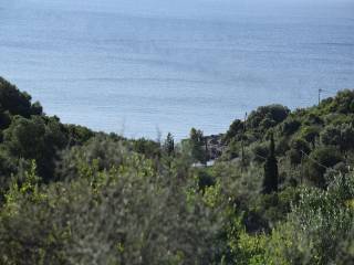 Το σπάνιο αγροτεμάχιο