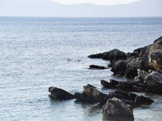 Το μοναδικό παραθαλάσσιο αγροτεμάχιο