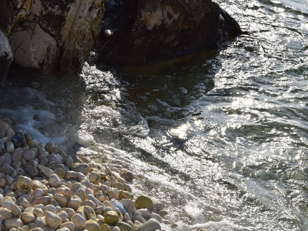 Το σπάνιο αγροτεμάχιο