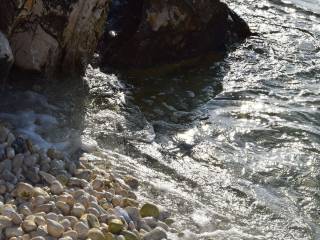 Το σπάνιο αγροτεμάχιο