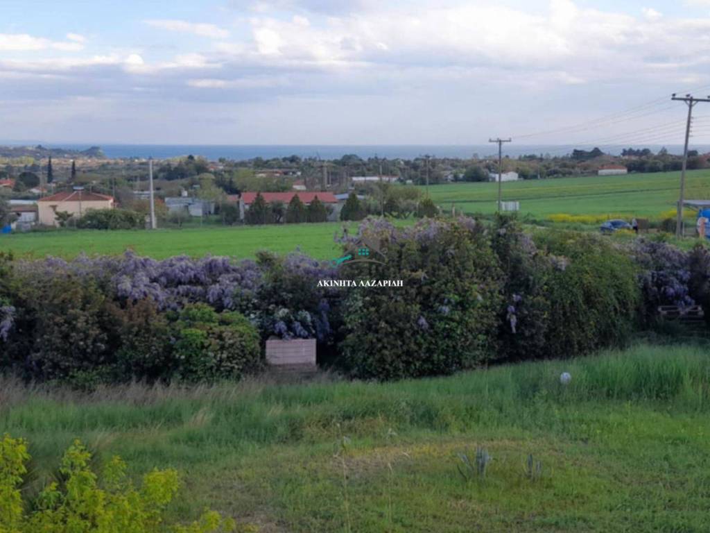 Ανοιχτωσιά