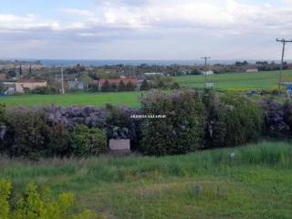 Ανοιχτωσιά