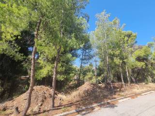 Εξωτερικοι χώροι