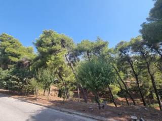 Εξωτερικοι χώροι