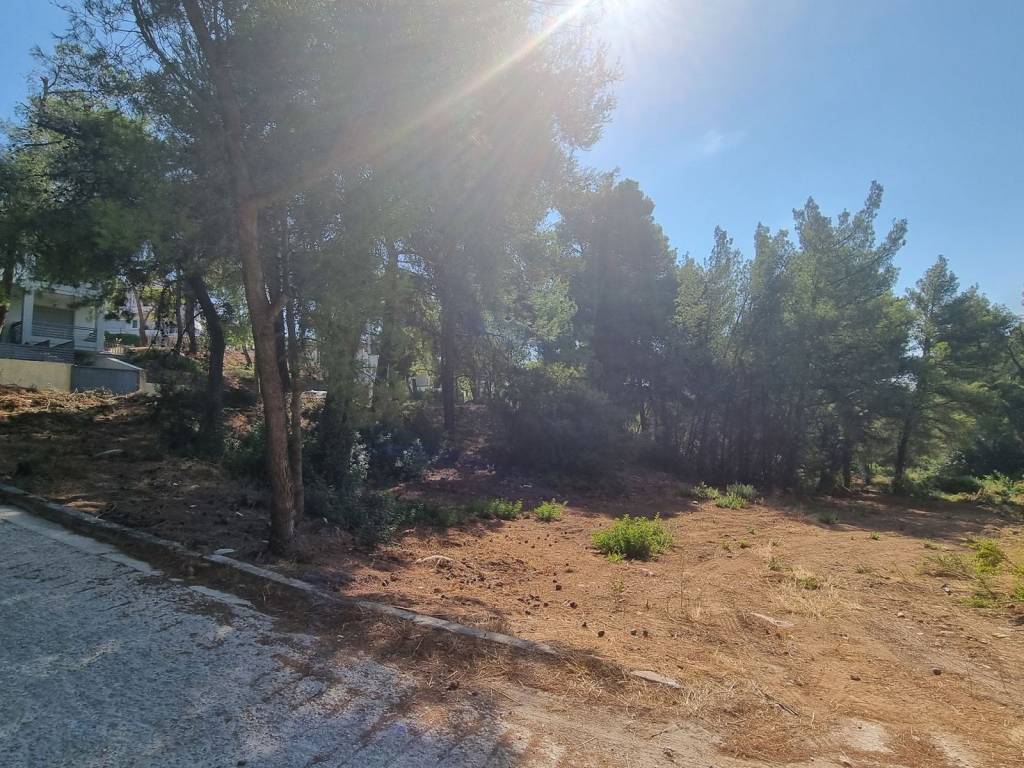 Εξωτερικοι χώροι