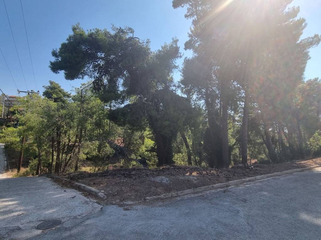 Εξωτερικοι χώροι