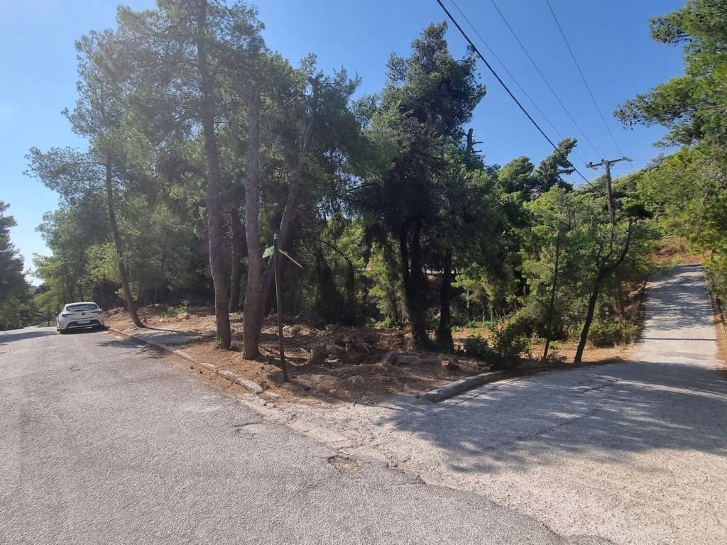 Εξωτερικοι χώροι