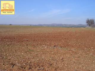 Άσσηρος, Αγροτεμάχιο, 23.250 τ.μ.