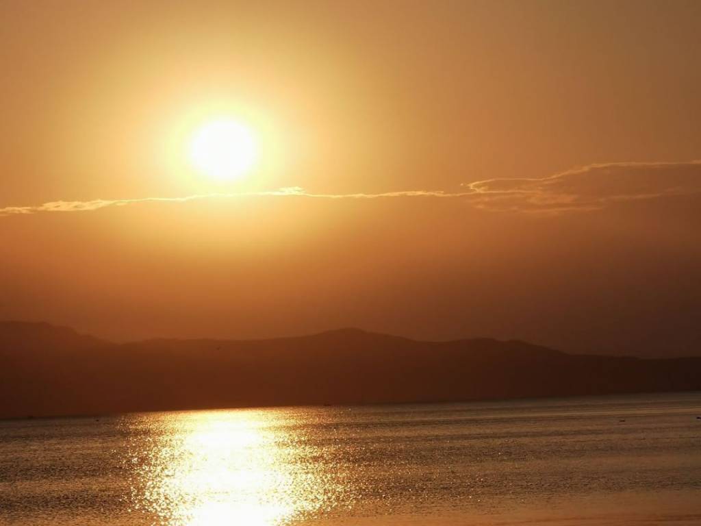 THeologos OSMAES oikopedo