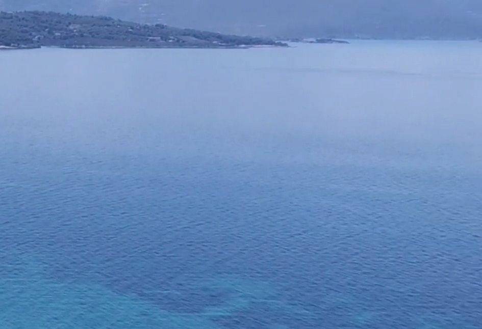 THeologos OSMAES oikopedo