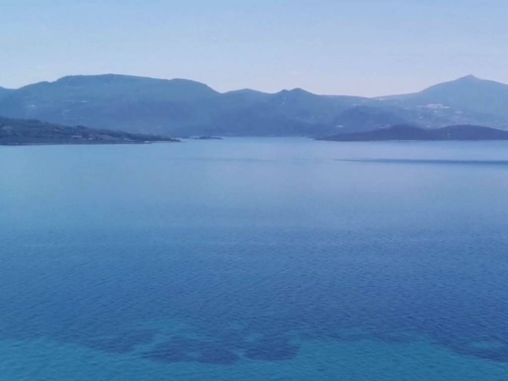 THeologos OSMAES oikopedo