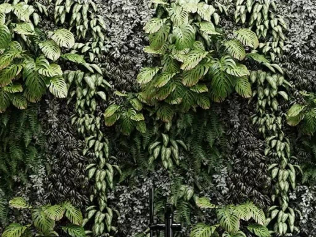 Katastema Proboles sten Amphitheas gia estiase