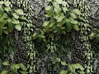 Katastema Proboles sten Amphitheas gia estiase