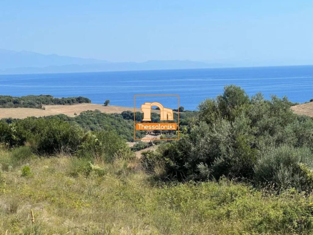 Νέα Ρόδα, Αγροτεμάχιο, 4.090 τ.μ.