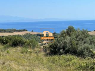 Νέα Ρόδα, Αγροτεμάχιο, 4.090 τ.μ.