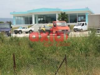 Φίλιπποι, Πολύστυλο: Ενοικιάζεται Κτίριο επαγγελματικών χώρων 880τ.μ. σε 4000τ.μ.