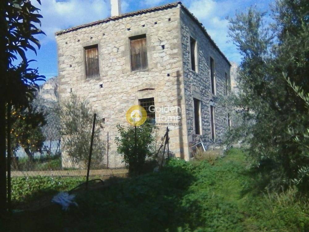 Ανελκυστήρας