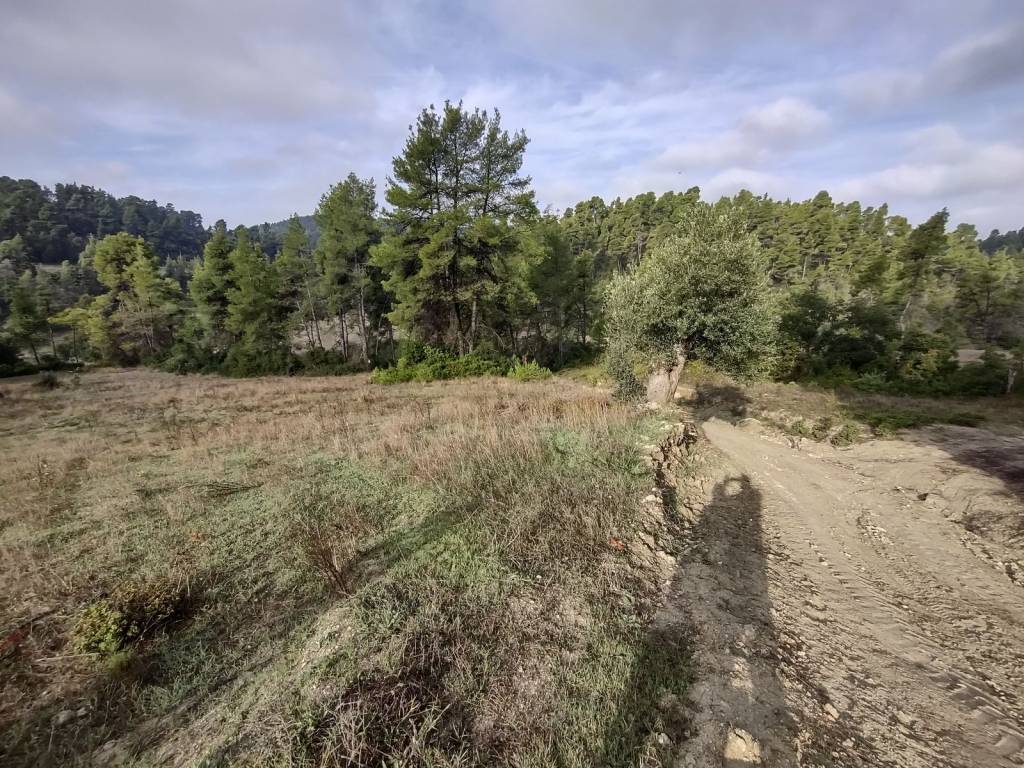 Φωτογραφία 1