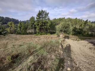 Φωτογραφία 1