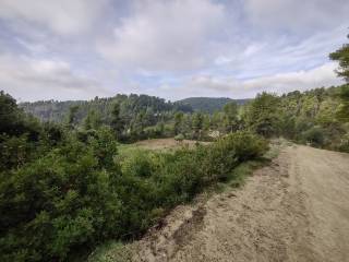 Φωτογραφία 4