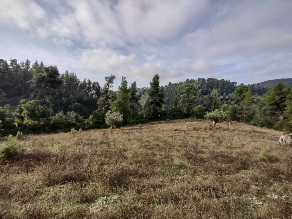 Φωτογραφία 2