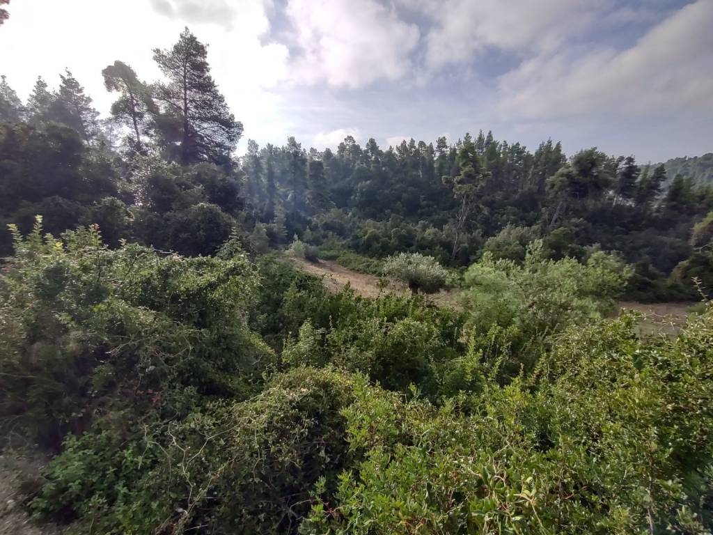 Φωτογραφία 3