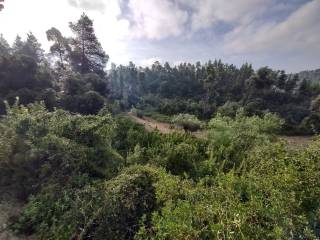 Φωτογραφία 3