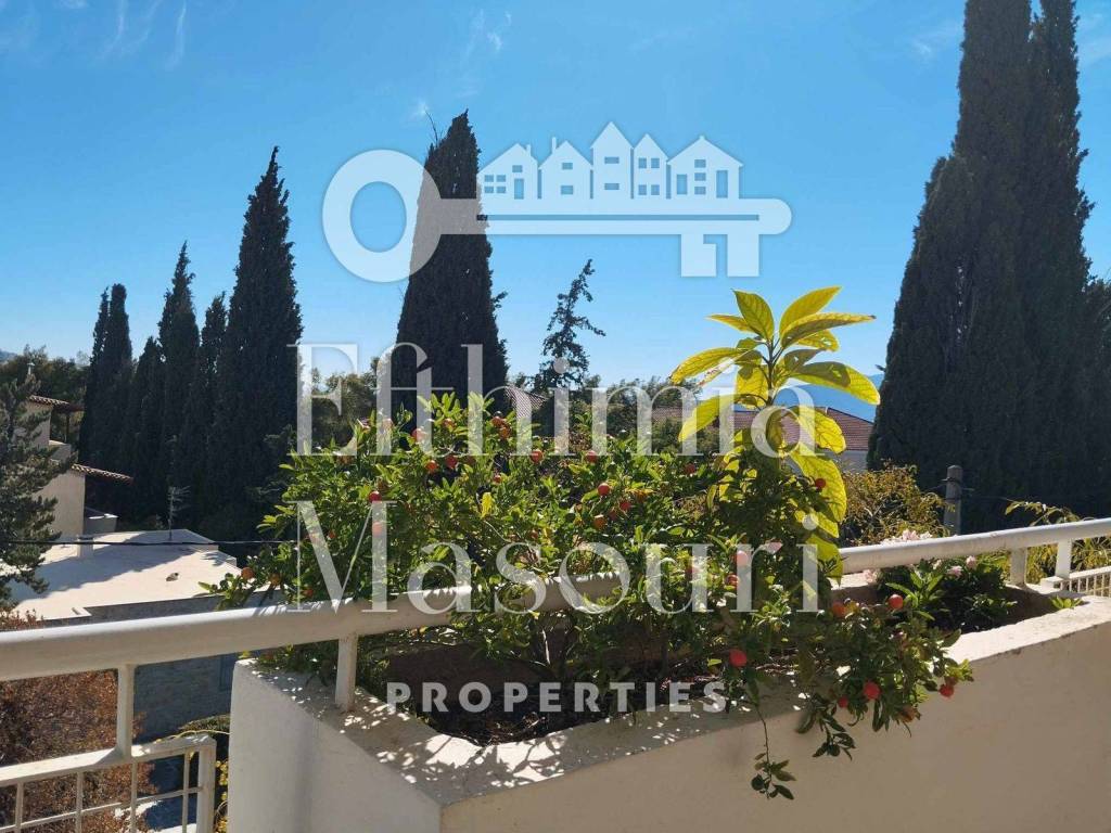 Εξωτερικοι χώροι