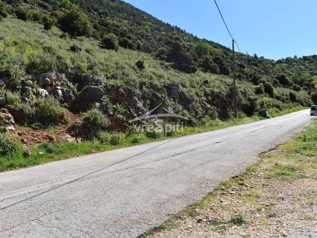 ΑΠΟΨΗ ΑΓΡΟΤΕΜΑΧΙΟΥ