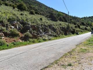 ΑΠΟΨΗ ΑΓΡΟΤΕΜΑΧΙΟΥ