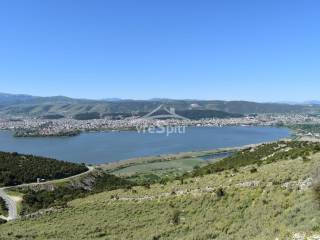 ΑΠΟΨΗ ΑΓΡΟΤΕΜΑΧΙΟΥ