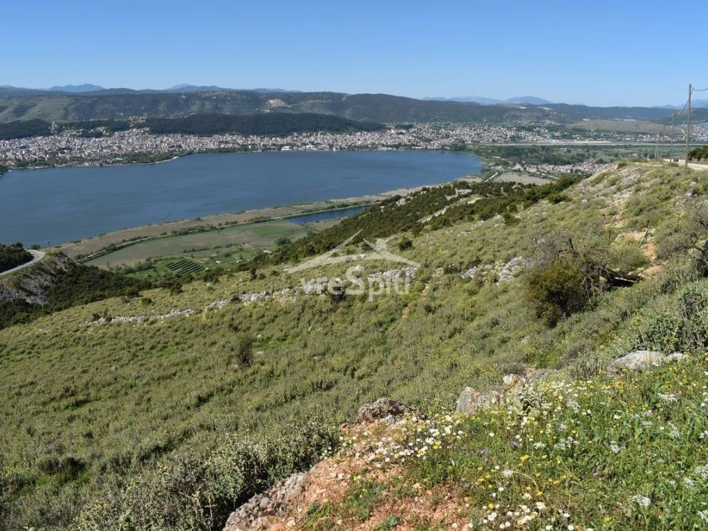 ΑΠΟΨΗ ΑΓΡΟΤΕΜΑΧΙΟΥ