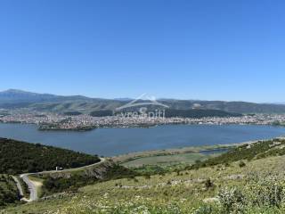 ΑΠΟΨΗ ΑΓΡΟΤΕΜΑΧΙΟΥ