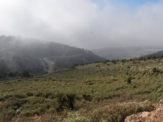 ΑΠΟΨΗ ΑΓΡΟΤΕΜΑΧΙΟΥ