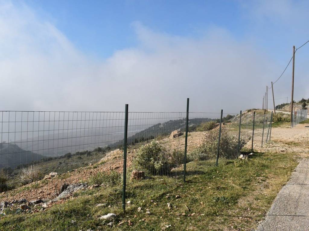 ΑΠΟΨΗ ΑΓΡΟΤΕΜΑΧΙΟΥ