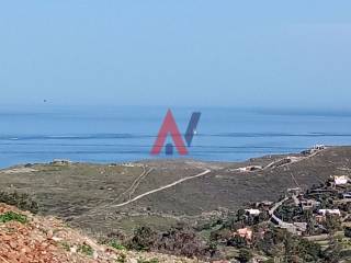 IMG_20250316_094434.jpg