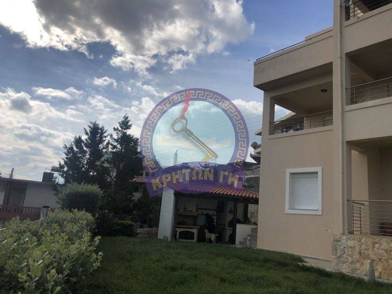 Άποψη χώρου