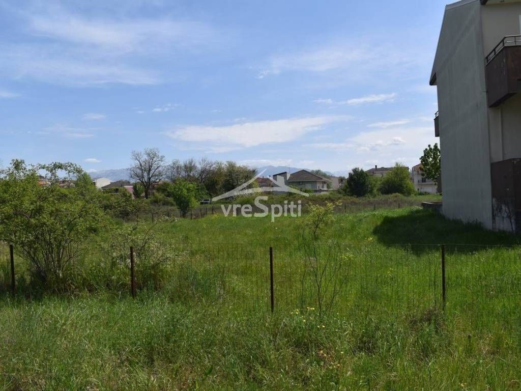 ΑΠΟΨΗ ΟΙΚΟΠΕΔΟΥ