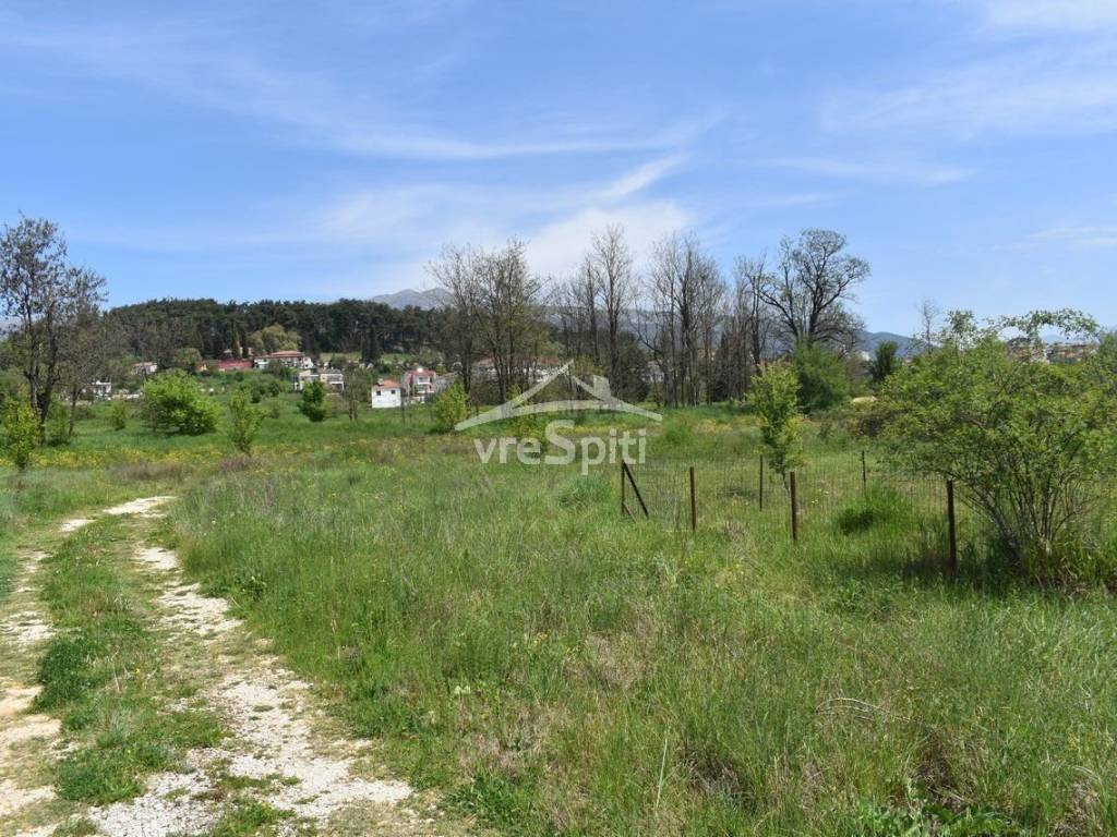 ΑΠΟΨΗ ΟΙΚΟΠΕΔΟΥ