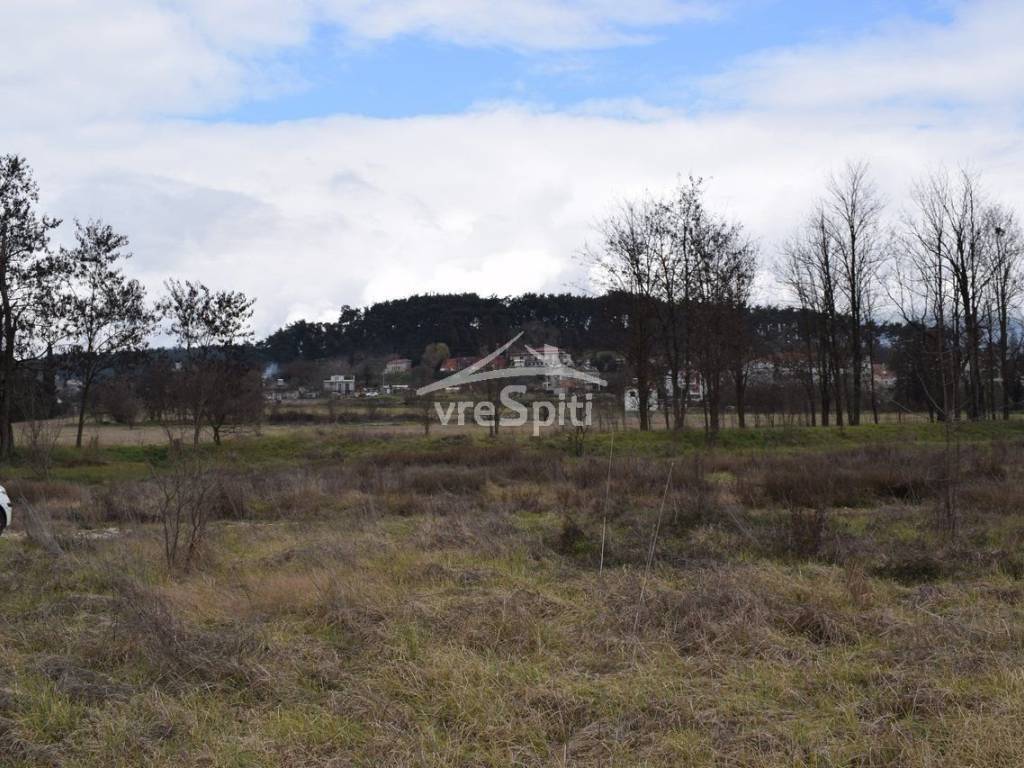 ΑΠΟΨΗ ΟΙΚΟΠΕΔΟΥ