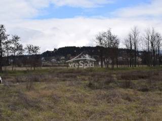 ΑΠΟΨΗ ΟΙΚΟΠΕΔΟΥ