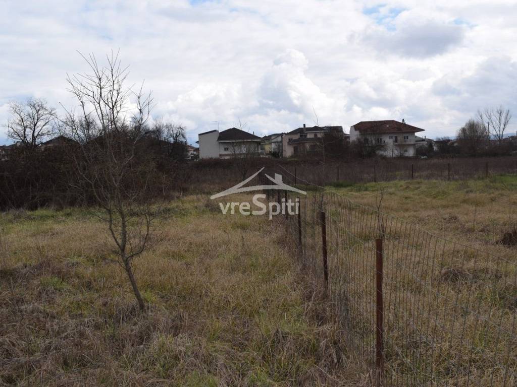 ΑΠΟΨΗ ΟΙΚΟΠΕΔΟΥ