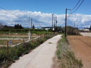 Αγροτεμάχιο