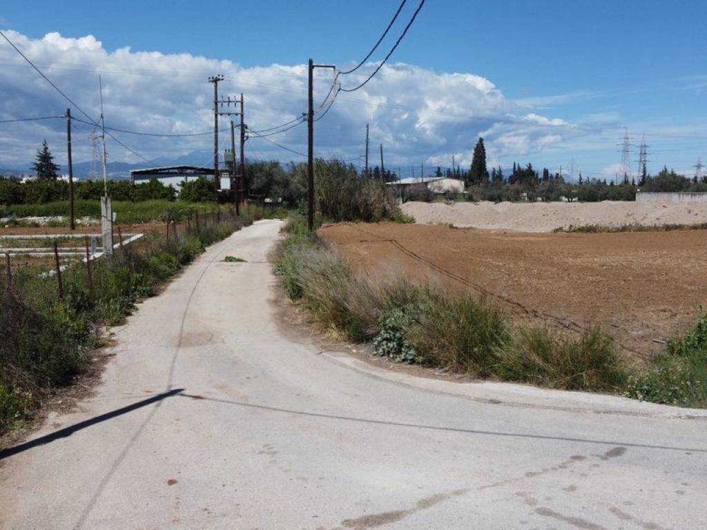 Πρόσβαση άσφαλτος