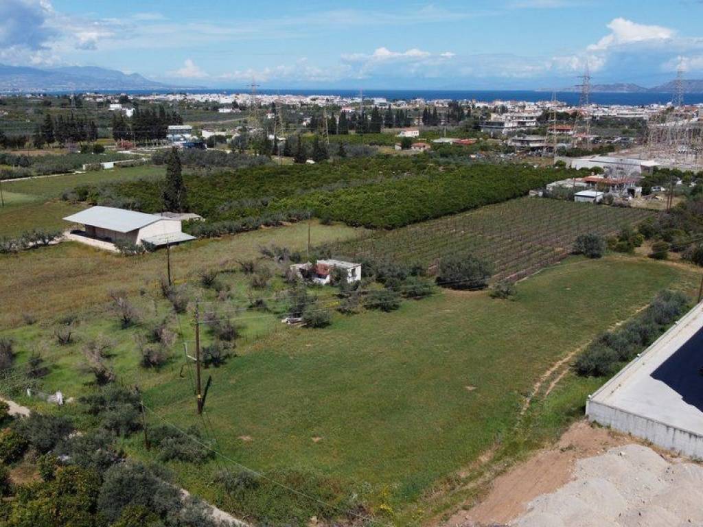 Αγροτεμάχιο