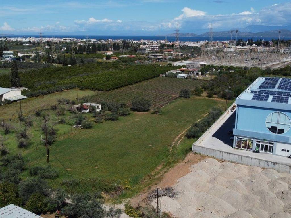 Αγροτεμάχιο