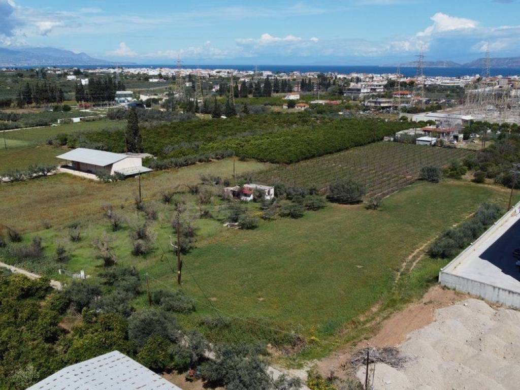 Αγροτεμάχιο