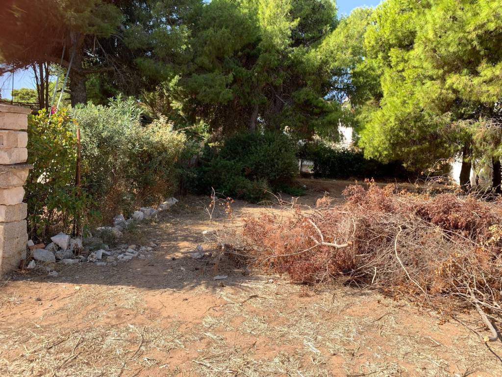 Αγίας Βαρβάρας