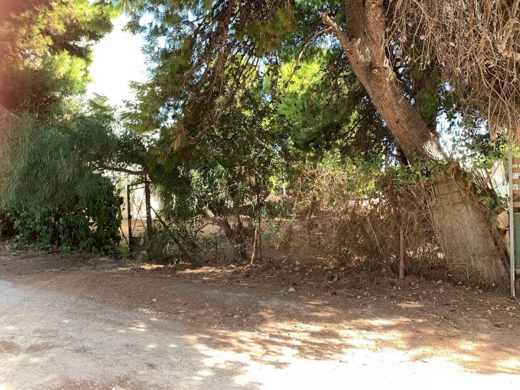 Αγίας Μαρίνας